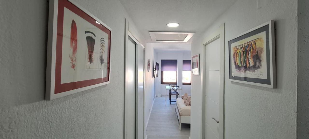 Appartement Loft Triana